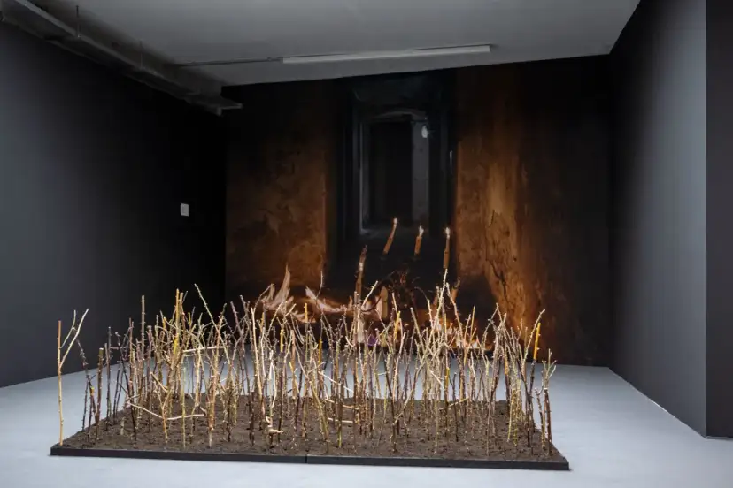 Muzeum sztuki współczesnej Wrocław - odkryj fascynujące wystawy i wydarzenia