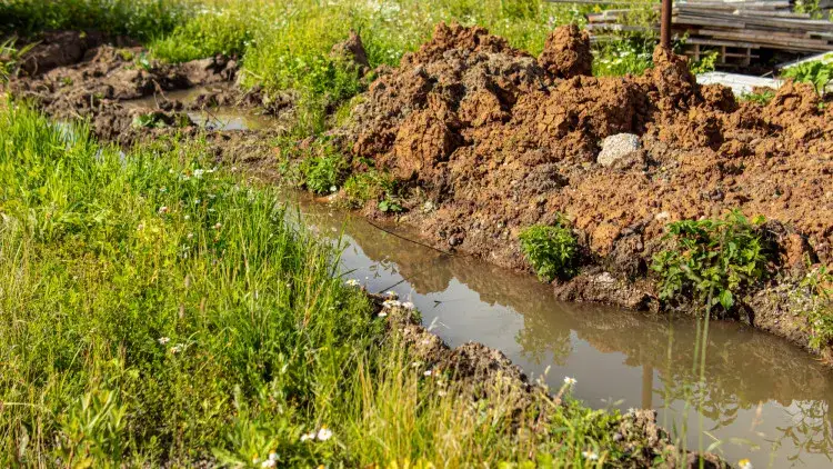 Jak znaleźć wodę na działce - skuteczne metody i porady praktyczne