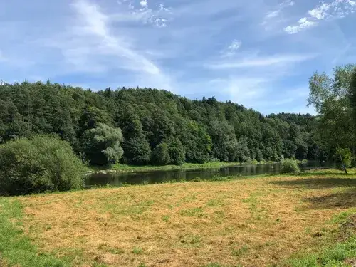 Gdzie na spacer z psem w Podkarpackiem? Odkryj najlepsze miejsca