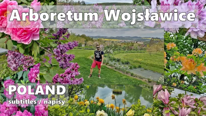 Arboretum Wojsławice: Kiedy jechać, by zobaczyć najpiękniej?