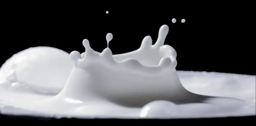 Po ile mleko w skupie? Sprawdź aktualne ceny i trendy na rynku