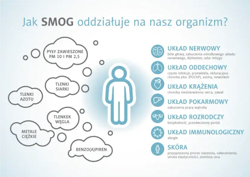 Z czego składa się smog i jak wpływa na nasze zdrowie?