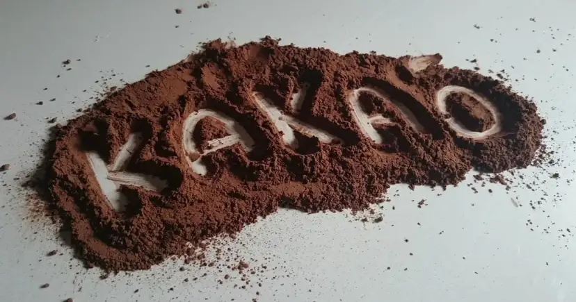 Kakao: Tuczy czy wspiera odchudzanie? Poznaj fakty!