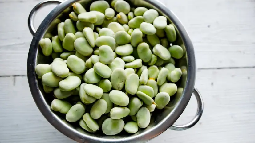 Czy koty mogą jeść bób? Bezpieczne zasady i ryzyka dla zdrowia