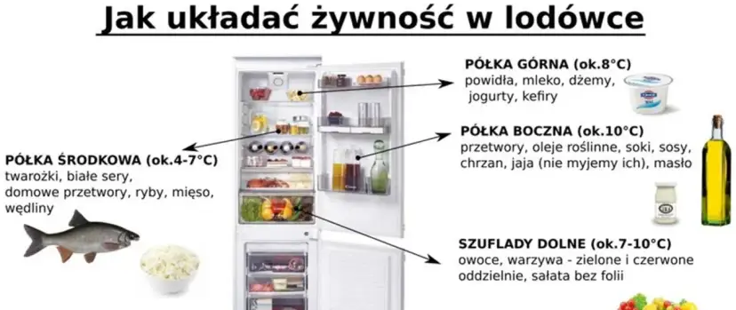 Otwarta lodówka z zaznaczonymi półkami i produktami spożywczymi, obok ryba i miska z twarożkiem.
