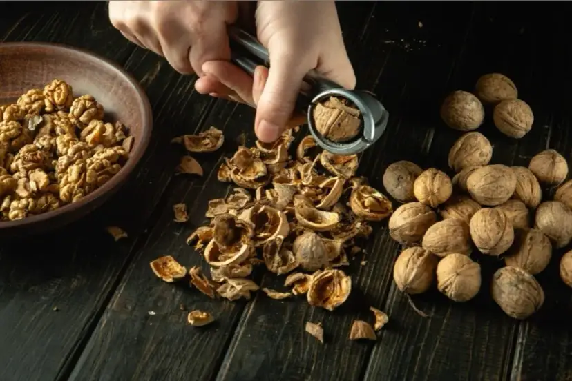 Orzechy włoskie: ile kalorii? Czy pomagają w odchudzaniu?