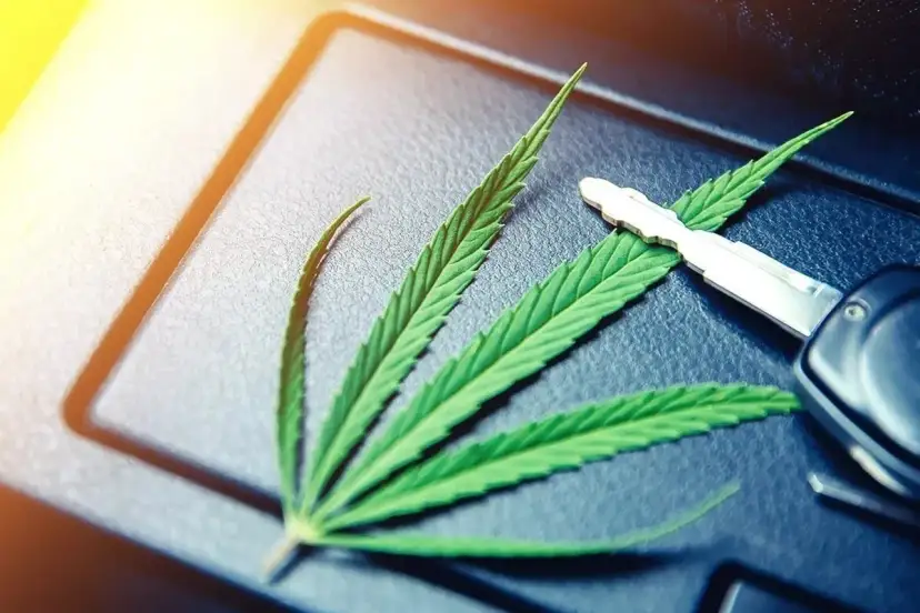 Privatrezept Cannabisblüten Autofahren: Rechtliche Risiken und Tipps