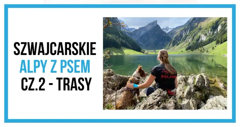 Szwajcaria góry gdzie jechać? Kobieta z psem podziwia alpejskie jezioro i szczyty. Idealne trasy dla miłośników gór i czworonogów.