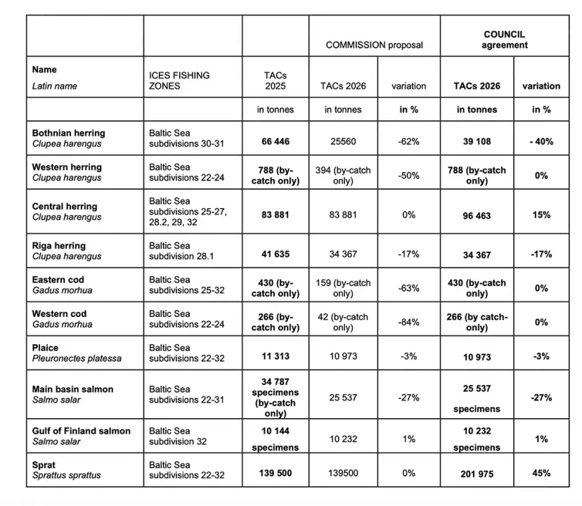 Dorsz w Bałtyku 2026: Połów dozwolony? Wszystkie zasady i limity.