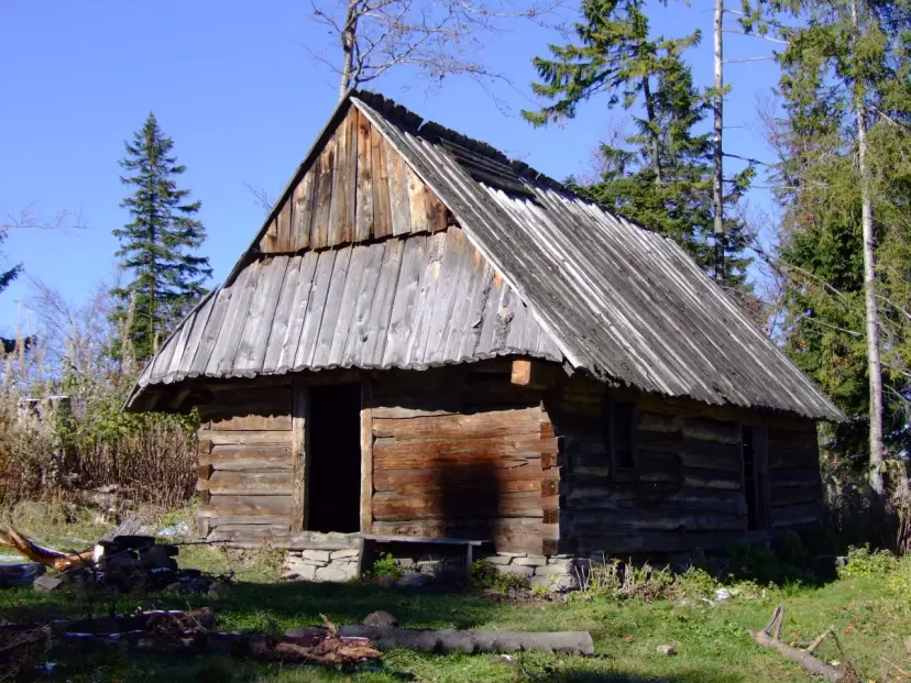 Drewniana bacówka, schronienie pasterzy w górach. Prosta konstrukcja, dach kryty gontem, otoczenie lasu.