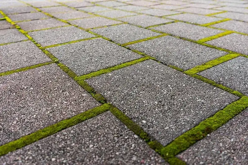 Jak zrobić chodnik z płyt chodnikowych - uniknij najczęstszych błędów