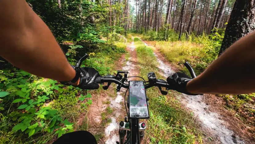 Józefów Roztocze: Atrakcje, Trasy Rowerowe i Niezapomniany Wypoczynek
