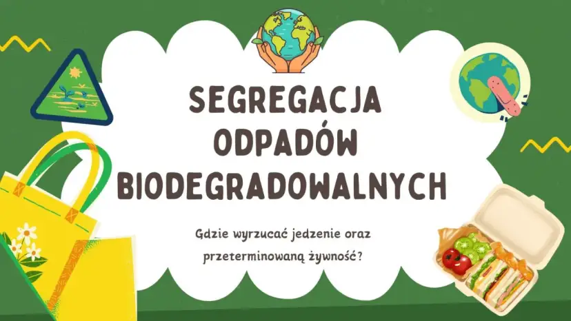 Jak segregować resztki jedzenia? BIO, zmieszane i trudne odpady