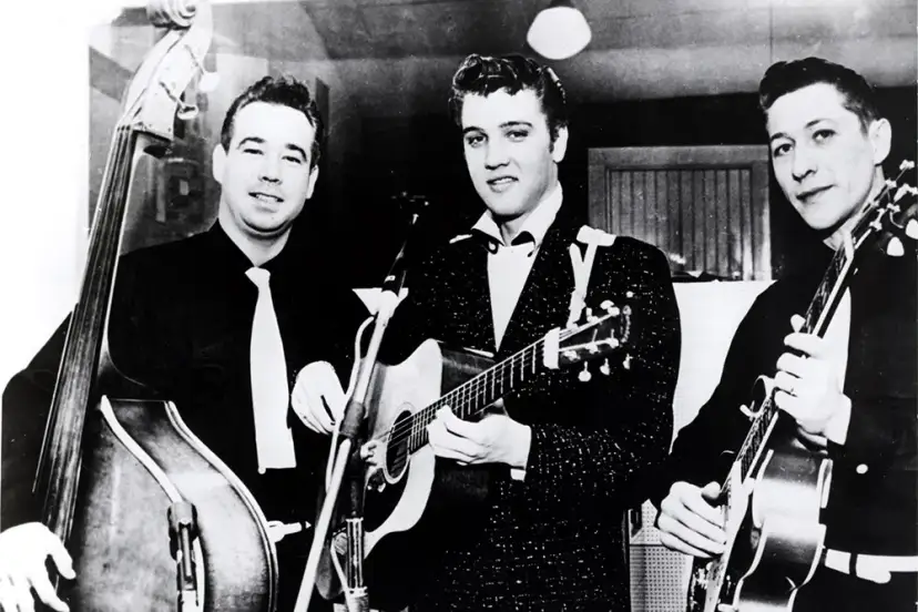 Elvis' Musikrichtung: Mehr als nur Rock 'n' Roll