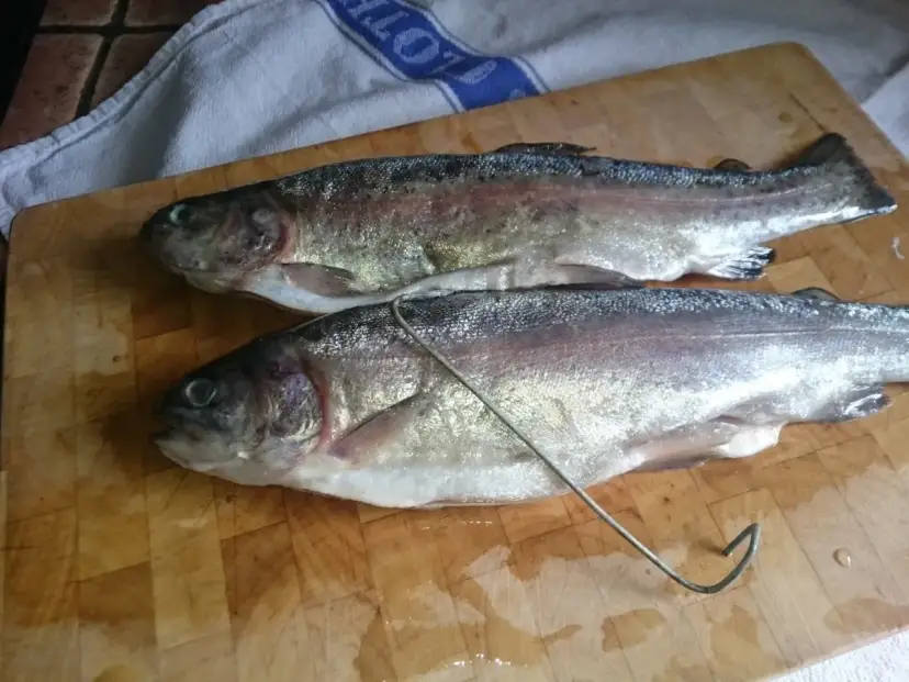 Jak wędzić pstrągi - proste sposoby na idealnie wędzoną rybę