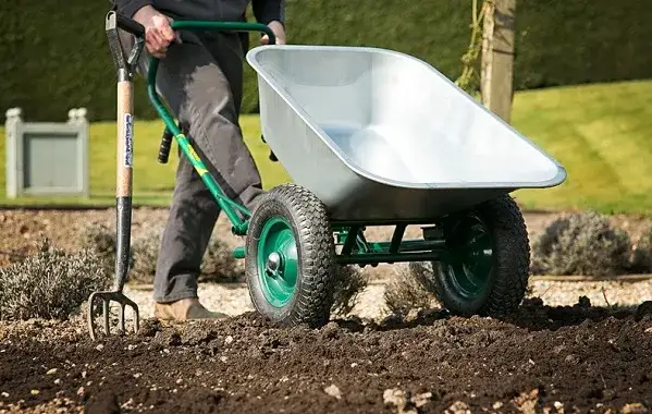 Jaka taczka do ogrodu? Wybierz mądrze poradnik