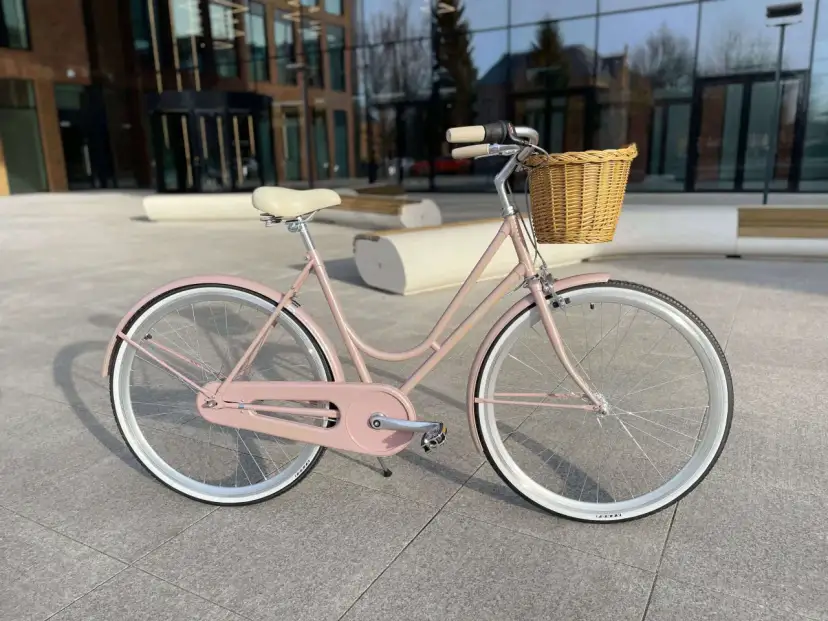 Jaki rower damski polecacie? Znajdź swój wymarzony model!