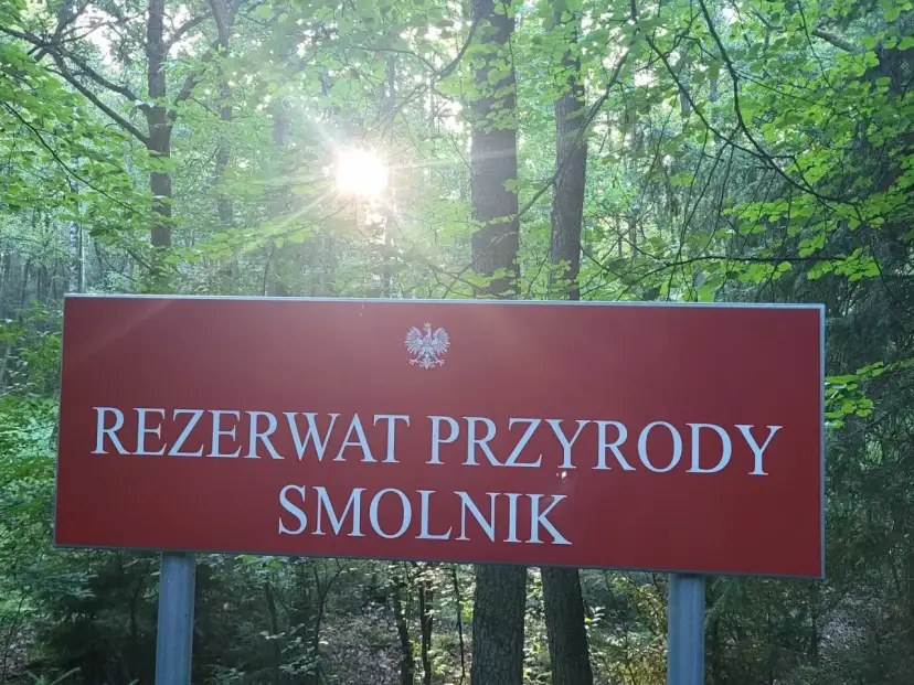 Tablica informuje o rezerwacie przyrody Smolnik, jednym z pięknych rezerwatów przyrody opolskie. Słońce przebija się przez liście drzew.
