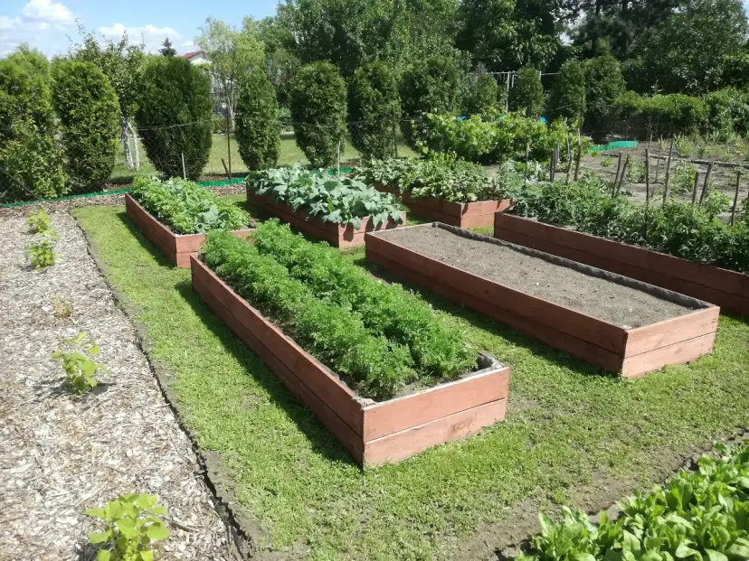 Czy warto kupić działkę ROD? Zobacz zalety i wady tej inwestycji