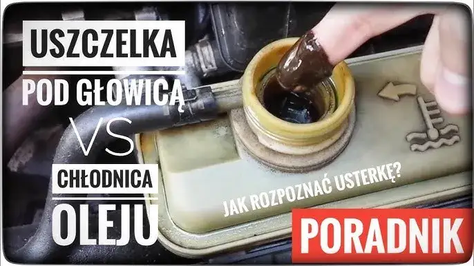 Chłodnica oleju czy uszczelka pod głowicą - jak uniknąć kosztownych napraw?