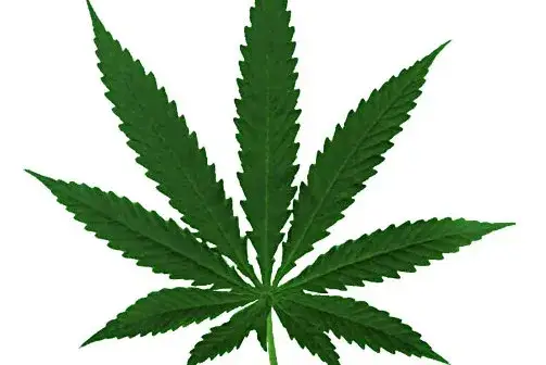 Mefedron w Czechach: Legalny? Poznaj surowe prawo i kary!