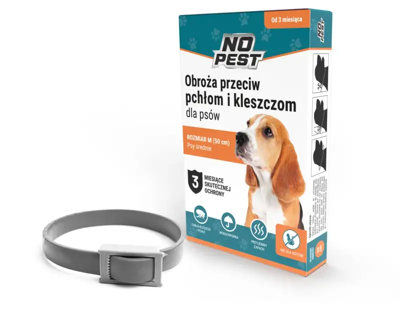 Najlepsza obroża na kleszcze dla psa - uniknij niebezpieczeństw dla pupila
