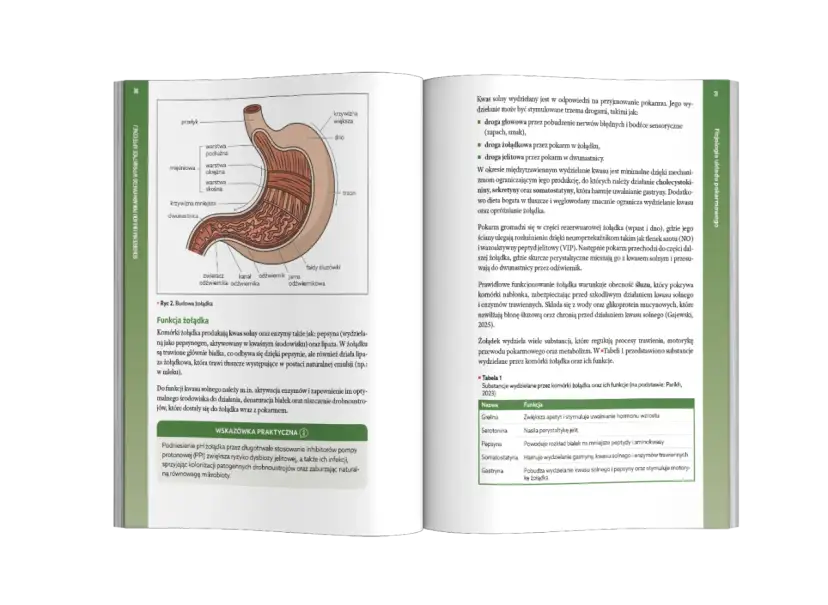 Helicobacter pylori: Złoty standard leczenia w Polsce leki i schematy