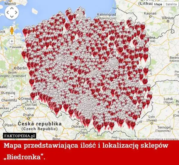 Ile Biedronek w Radomiu? Aktualna liczba i mapa sklepów.