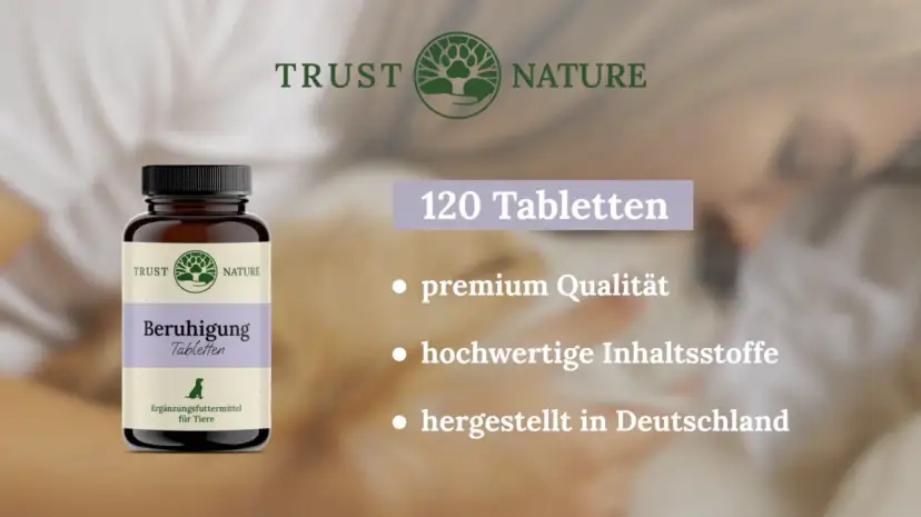 Medikamente gegen Nervosität: Effektive Lösungen und natürliche Alternativen