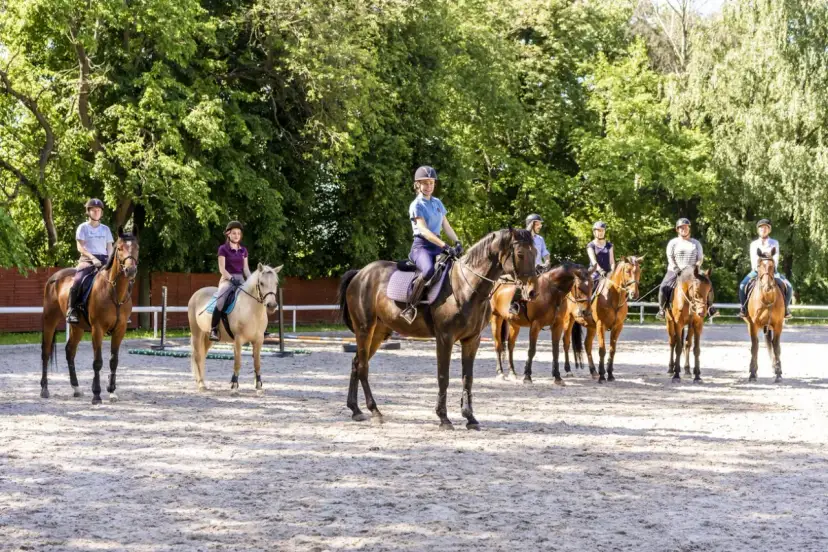 Hipologia i jeździectwo Lublin - kluczowe informacje o studiach i przyszłości