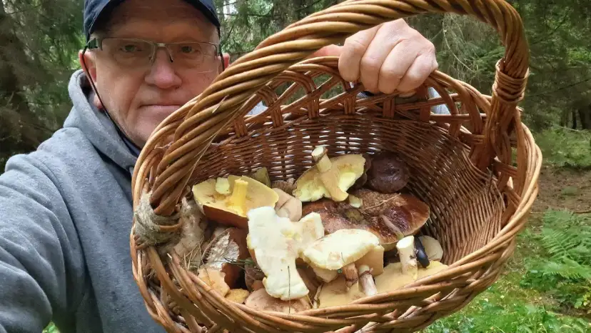 Mężczyzna w okularach trzyma koszyk pełen grzybów. Czy to koszyk grzybów milionerzy?