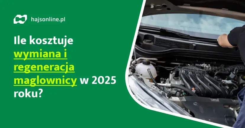 Ile kosztuje wymiana maglownicy? Cennik 2024 + części i robocizna