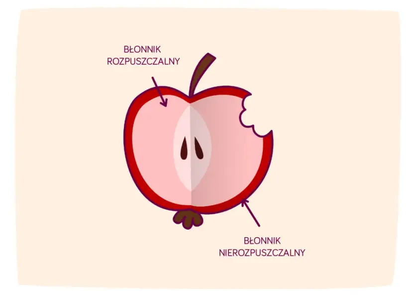 Połówka jabłka z widocznym miąższem i pestkami. Strzałki wskazują, gdzie znajduje się błonnik rozpuszczalny i nierozpuszczalny.