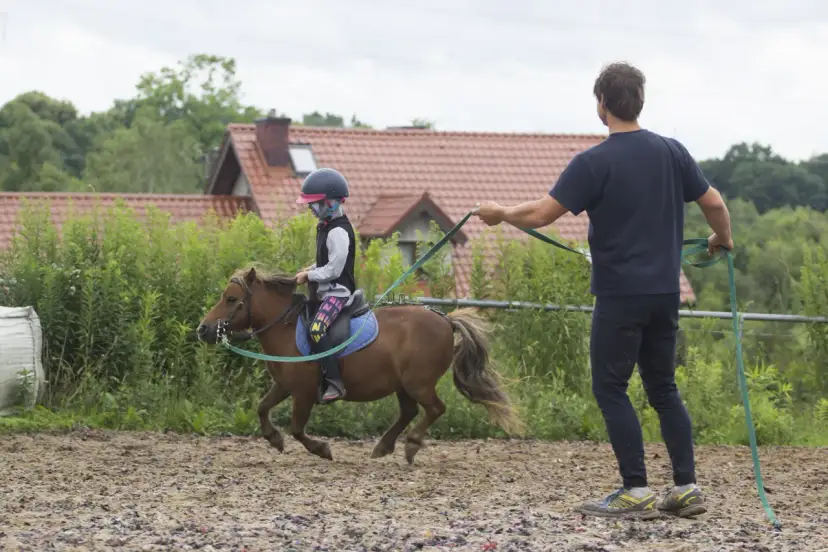 Szkółka jeździecka Kociałkowa Górka – nauka jazdy konnej dla każdego