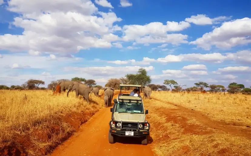 Niesamowite safari w Tanzanii! Słońce, chmury i stado słoni na tle sawanny. W oddali widać samochód terenowy z turystami.