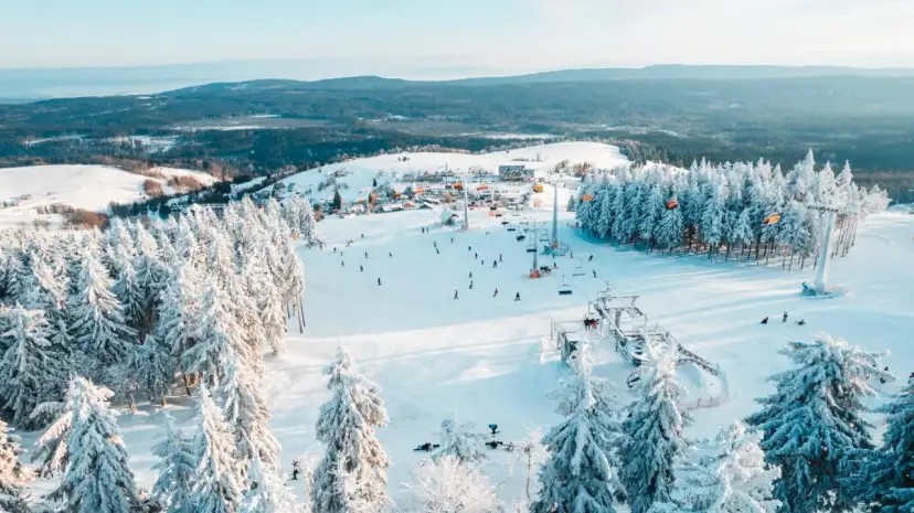 Na stokach Zieleniec widać kilka wyciągów narciarskich, które wożą narciarzy po ośnieżonych zboczach wśród zimowych drzew.