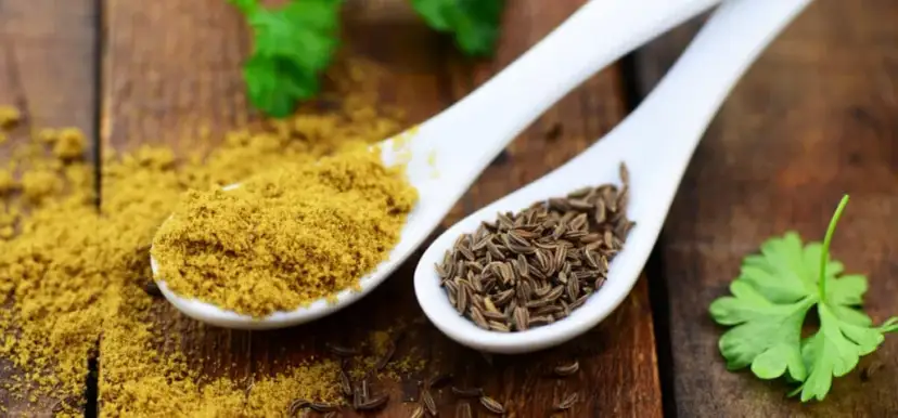 Jak zastąpić przyprawę garam masala i nie stracić smaku potraw