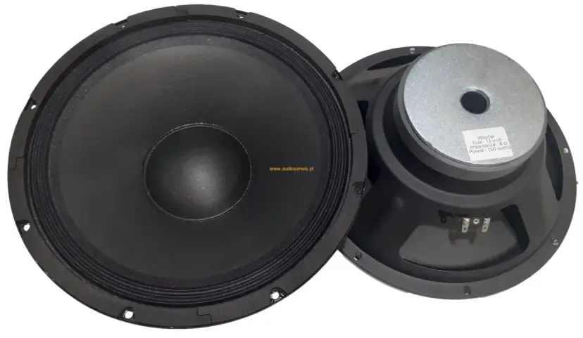 Głośnik niskotonowy 30 cm estradowy - wybierz najlepszy model dla siebie