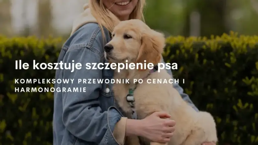 Ile kosztuje szczepienie szczeniaka? Pełny cennik i kalendarz 2024