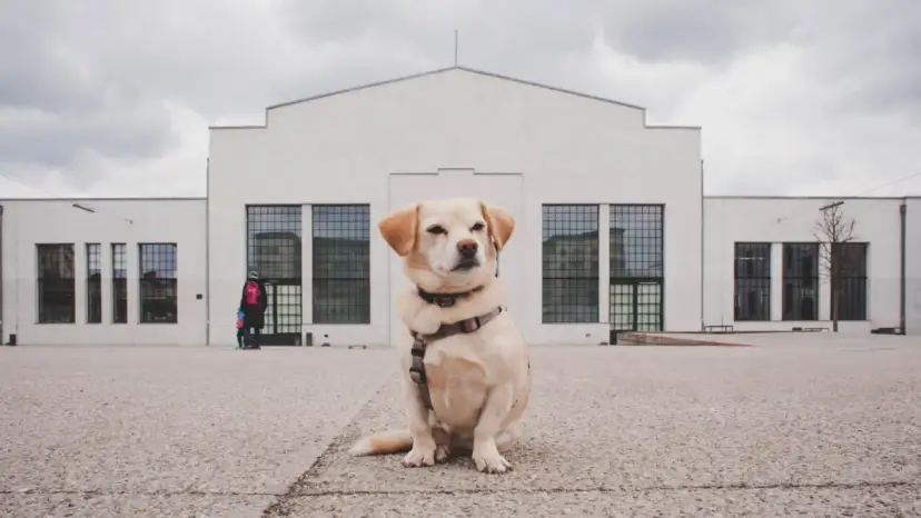 Nowy Teatr Madalińskiego: Przewodnik, repertuar i bilety