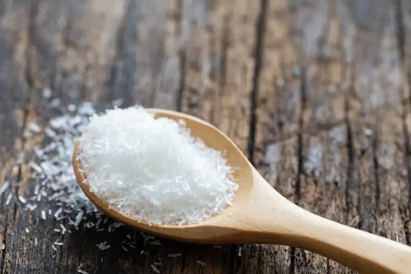 Glutaminian sodu: Skutki uboczne? Obalamy mity. Co mówi nauka?