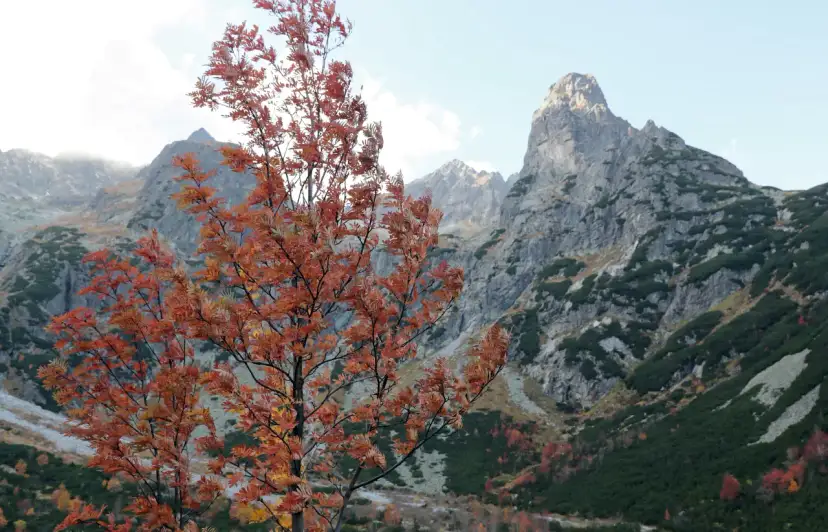 Od kiedy zamknięte szlaki na Słowacji? Sprawdź, zanim wyruszysz w góry