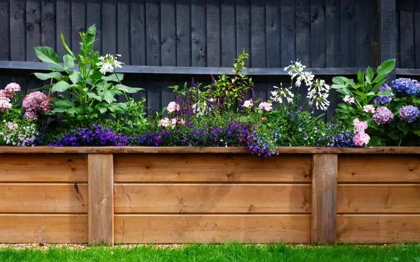 Jakie kwiaty posadzić przy płocie, aby stworzyć piękny ogród?