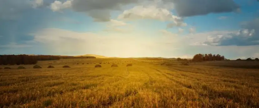 Czy można zasiedzieć grunty skarbu państwa? Sprawdź zasady i ograniczenia