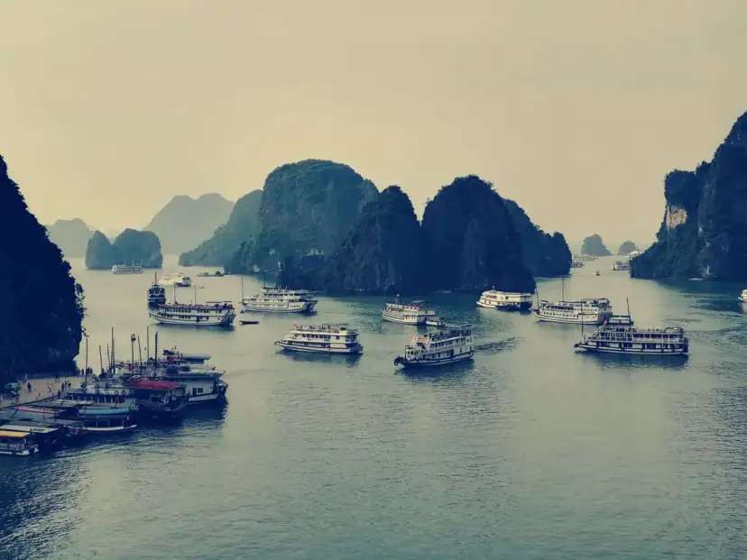 Wietnam: co warto wiedzieć o Zatoce Ha Long? Statki wycieczkowe pływają między wapiennymi wyspami.
