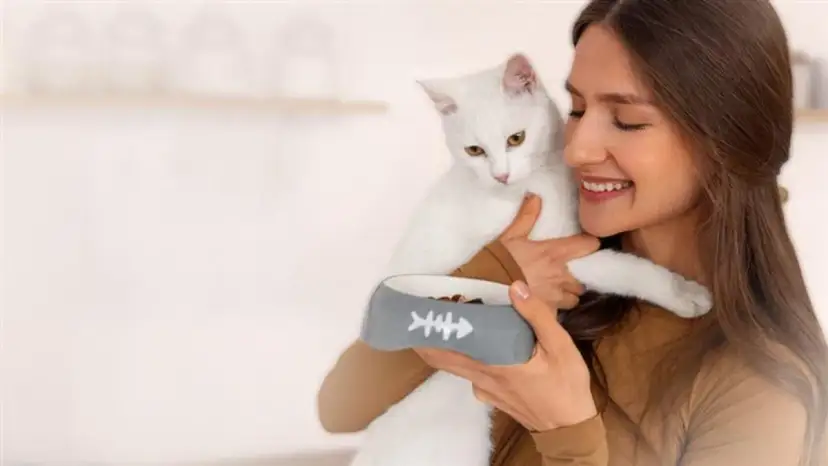 Jak karmić kotkę: kluczowe wskazówki dla zdrowych kociąt