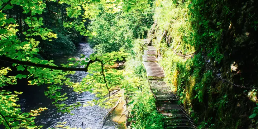Słowacki Raj: Który szlak? Wybierz idealną trasę dla siebie