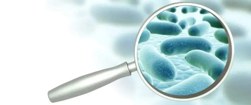 Metronidazol na receptę? Kiedy i jak go zdobyć bezpiecznie?