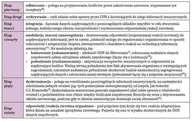 Testy integracyjne u dzieci: Przykłady i co mówią o rozwoju SI?