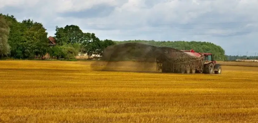 Mocznik nawóz ile na hektar: Jak uniknąć błędów w nawożeniu?